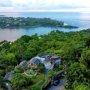 The Fan Port Antonio